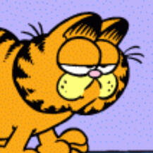 🍝Garfield🍝•✨✨